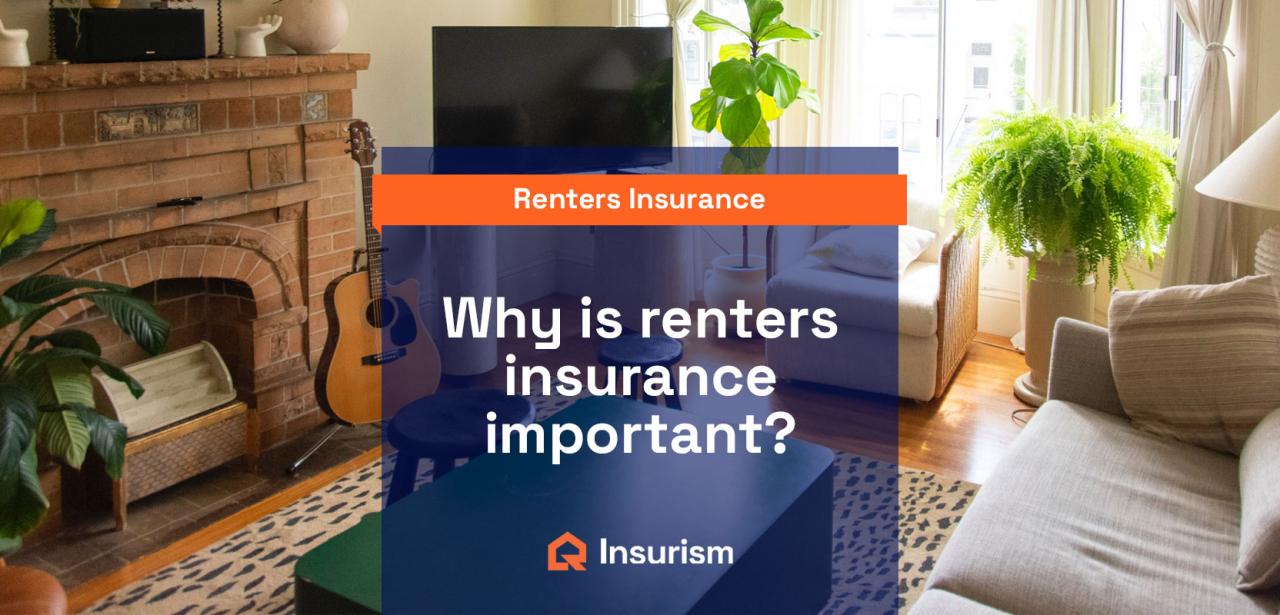 The Pros and Cons of Renters Insurance and Why You Need It