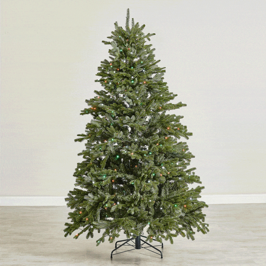 Best-Selling Categories in Women's Fashion Online